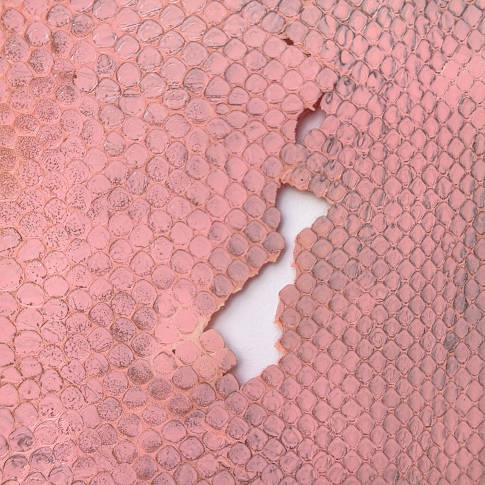PINK PYTHON: TALISMAN ZA NOVAC