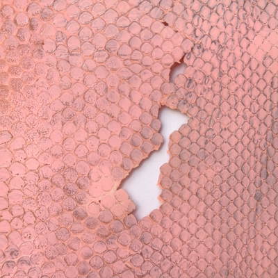 PINK PYTHON: TALISMAN ZA NOVAC