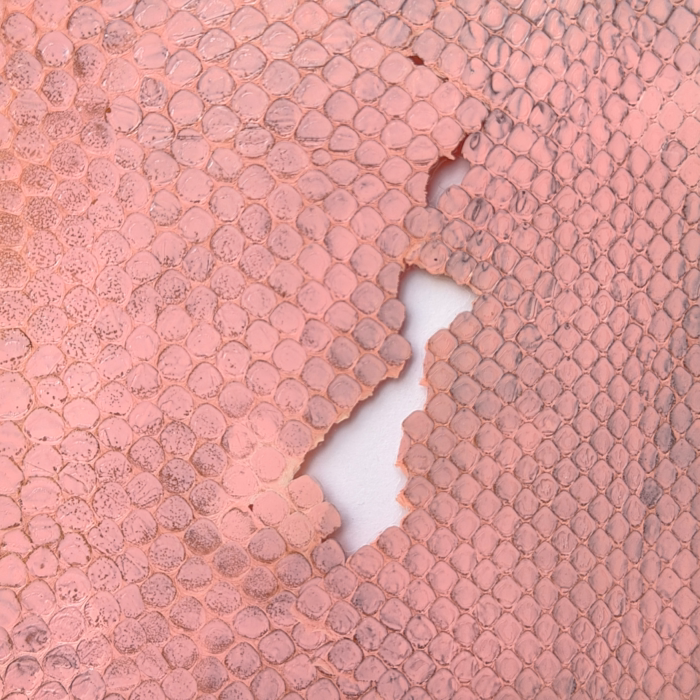 PINK PYTHON: TALISMAN ZA NOVAC