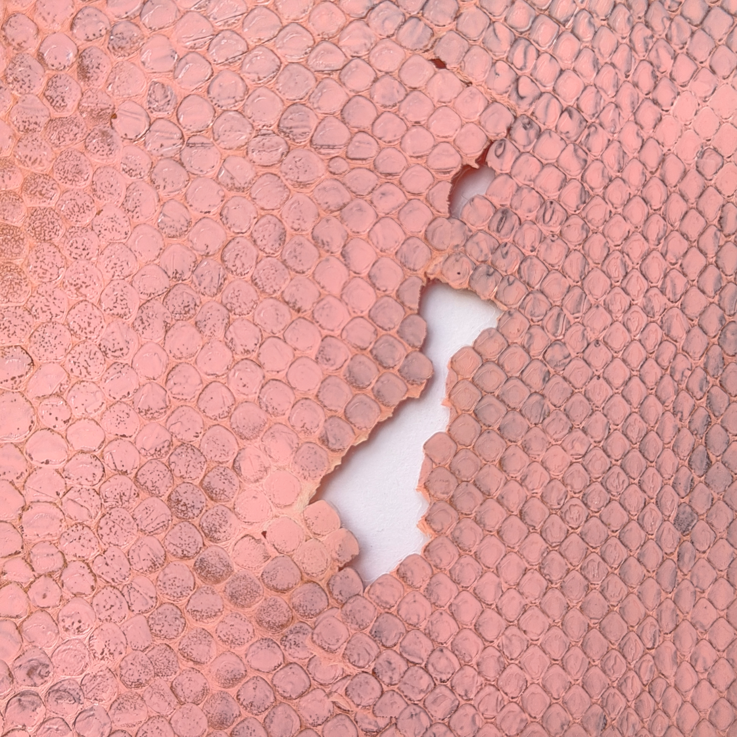 PINK PYTHON: TALISMAN ZA NOVAC